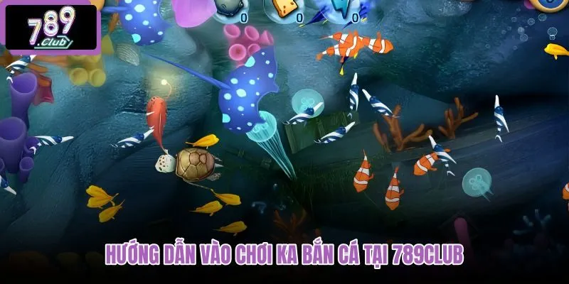 huong-dan-vao-choi-ka-ban-ca-tai-789club huong-dan-vao-choi-ka-ban-ca-tai-789club