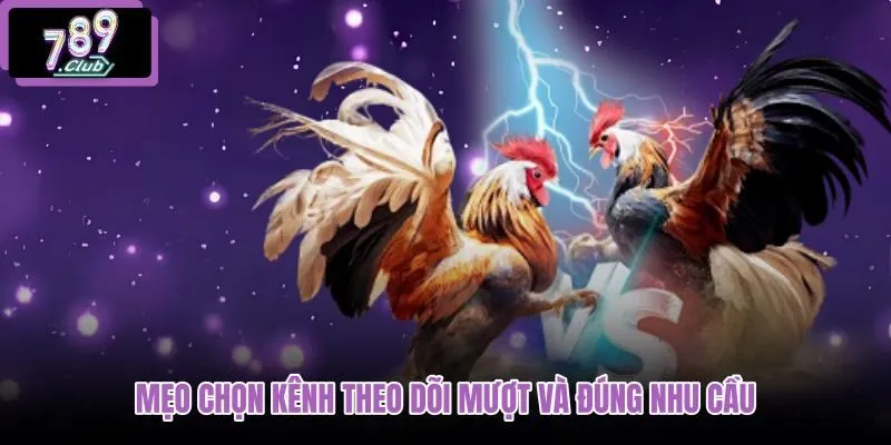 meo-chon-kenh-theo-doi-muot-va-dung-nhu-cau meo-chon-kenh-theo-doi-muot-va-dung-nhu-cau